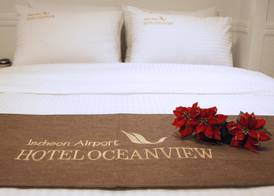 Incheon Airport Hotel Oceanview 5