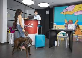 Casual Pop Art Hotel by Casual Hoteles 3