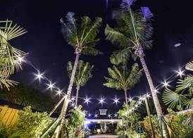 Siesta Key Palms Resort 3