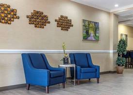 Comfort Inn & Suites Orangeburg 3