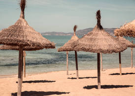 Caramelo Palma Beach 4