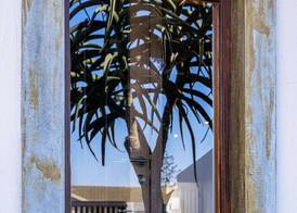 Organic Stay Guesthouse 3