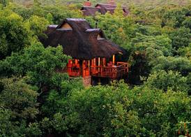 Makweti Safari Lodge 4