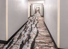 Quality Inn & Suites Danville East 4