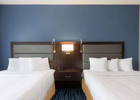 Hotel 1550 - SFO Airport FREE Shuttle 5