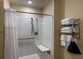 Comfort Inn South Chesterfield - Colonial Heights 4