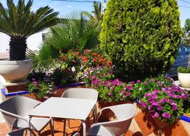 Hotel Carmen 5