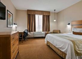 Best Western Plus Chateau Inn Sylvan Lake 4