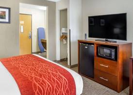 Comfort Inn Hoffman Estates - Schaumburg 5