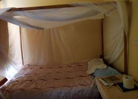 The Oasis Hotel 3