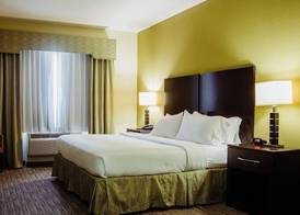 Holiday Inn Express & Suites WALLER - PRAIRIE VIEW by IHG 4
