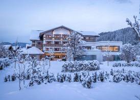 Superior Hotel Alpenhof 2