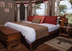 Elephant Bedroom Camp 3