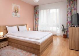 Brasov Holiday Apartments 2