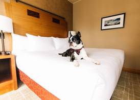 Grand Hyatt Seattle 3