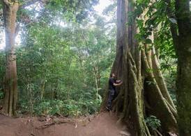 Elida Lodge Monteverde 3