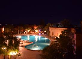 Palm's Club 3