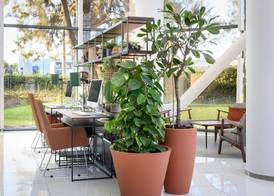 Melia Lisboa Aeroporto 4