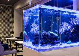 Naha Tokyu REI Hotel 4