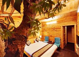 Treehouse Resort 4