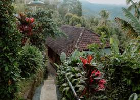 Puri Sunny Guest House , Munduk 5