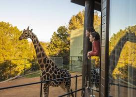 Jamala Wildlife Lodge 4
