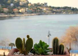 Palermo Mare Holidays 4