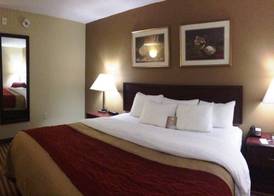 Comfort Inn New River 5