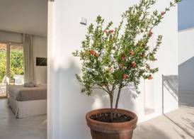 Tenuta DonnAnna Agriturismo&Glamping 5