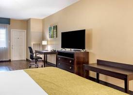Best Western Plus Galveston Suites 5