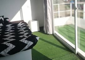 Cat's Hostel 4