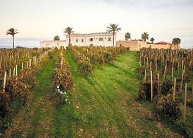 Agriturismo Baglio Donnafranca Wine Resort 4