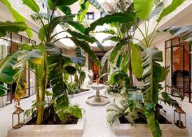 Riad Kheirredine 3