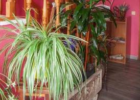 Hostal La Llave 4