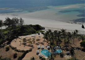Gecko Resort 2