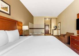 Comfort Inn & Suites Porter near Indiana Dunes 5