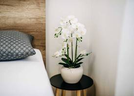 Apartment Wanda 3
