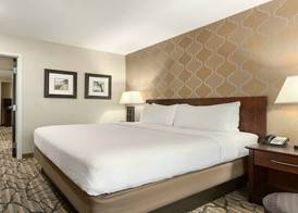 Holiday Inn & Suites WILLIAMSBURG-HISTORIC GATEWAY by IHG 5