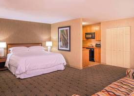 Sheraton Springfield Monarch Place Hotel 5