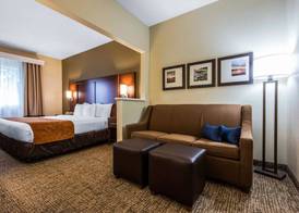 Comfort Suites Rochester Henrietta University Area 5