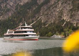 Alpenhotel Edelweiss 4
