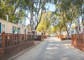 HolaCamp Sant Salvador 3