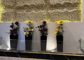 New Master Pyramids Hotel 4