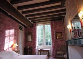 Château du Plessis - Anjou 5