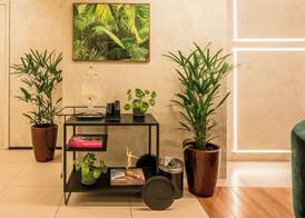 ibis Sao Luis 5