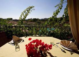 Hotel Mariposas 4