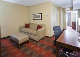 Gateway Park Hotel and Suites - Sioux Falls -Tea 4