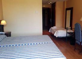 Hotel Spa Tudanca Aranda 5