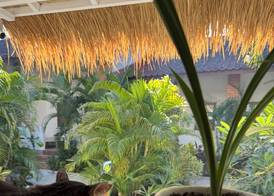 White Coconut Resort 3