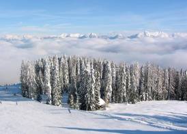 ALDIANA CLUB SCHLANITZEN ALM - Hermagor 4